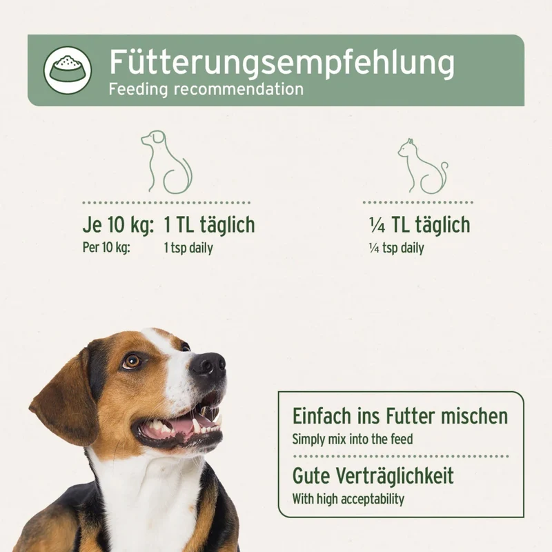 AniForte Bio Kokosöl für Hunde & Katzen – Natürliche Fellpflege, Hautschutz & Immunstärkung mit nativem Kokosöl in Premium Rohkost-Qualität