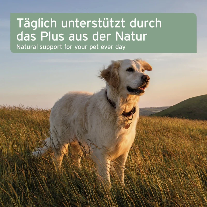 AniForte Bio Kokosöl für Hunde & Katzen – Natürliche Fellpflege, Hautschutz & Immunstärkung mit nativem Kokosöl in Premium Rohkost-Qualität