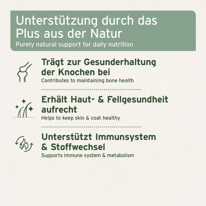 AniForte Lachsöl Kapseln für Hunde – Omega-3 für glänzendes Fell, gesunde Haut & starke Gelenke