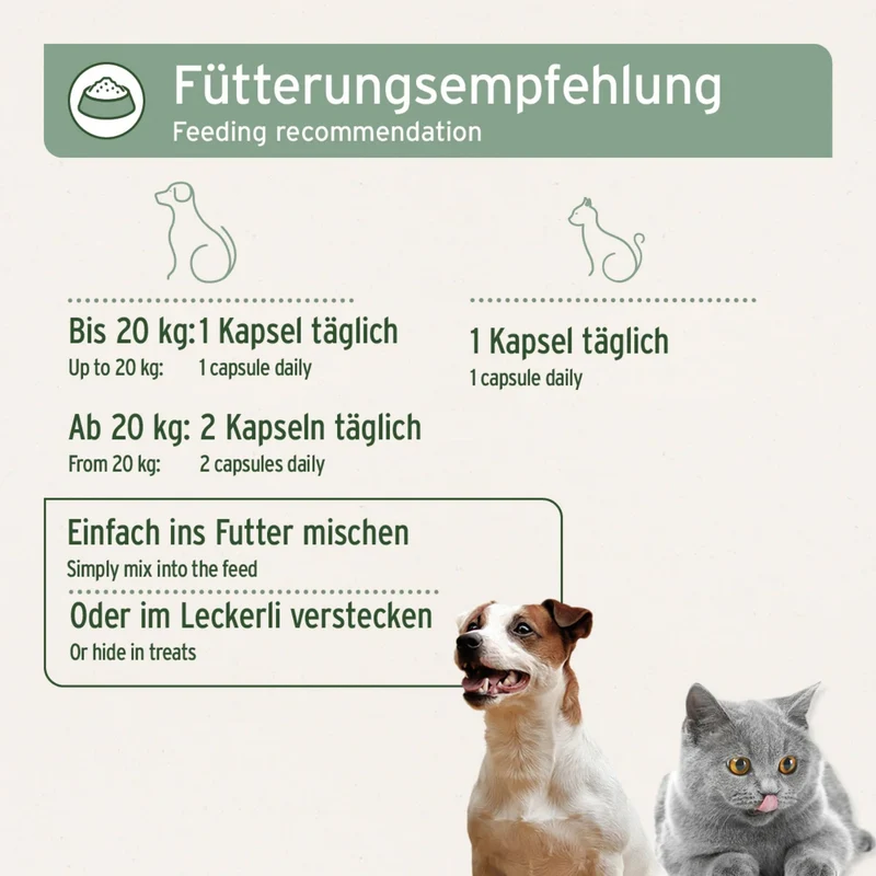 AniForte Lachsöl Kapseln für Hunde – Omega-3 für glänzendes Fell, gesunde Haut & starke Gelenke