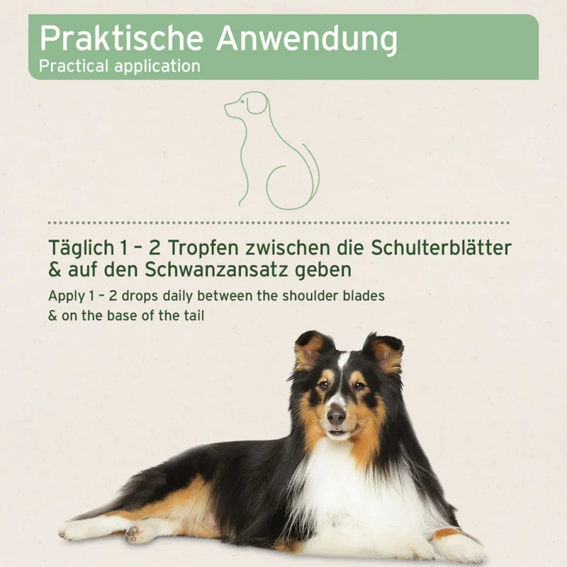 AniForte Ectoprotex Spot-on für Hunde – Repellent zur Parasitenabwehr, natürlicher Schutz gegen Zecken, Flöhe & Parasiten