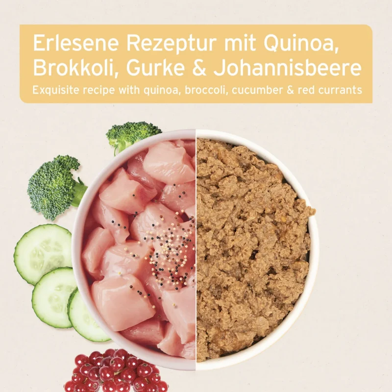 AniForte Pure Nature Greenfield Turkey Nassfutter für Hunde – Getreidefreies Premium-Hundefutter mit hohem Fleischanteil, natürliche Zutaten für Vitalität & gesunde Verdauung