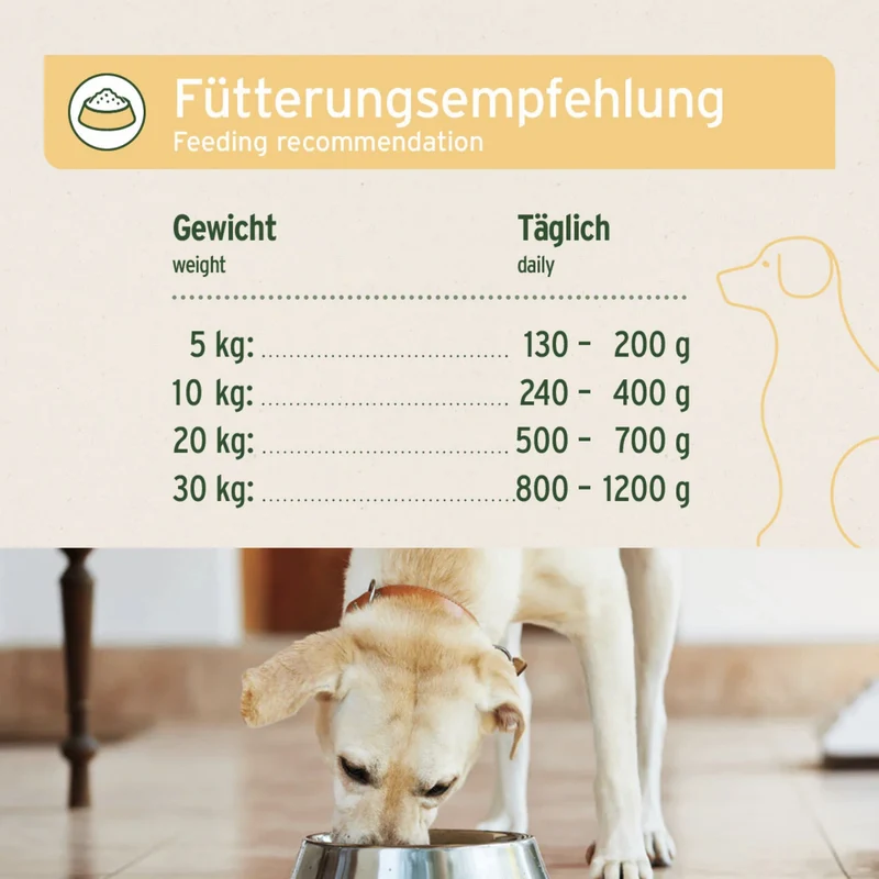AniForte Pure Nature Greenfield Turkey Nassfutter für Hunde – Getreidefreies Premium-Hundefutter mit hohem Fleischanteil, natürliche Zutaten für Vitalität & gesunde Verdauung