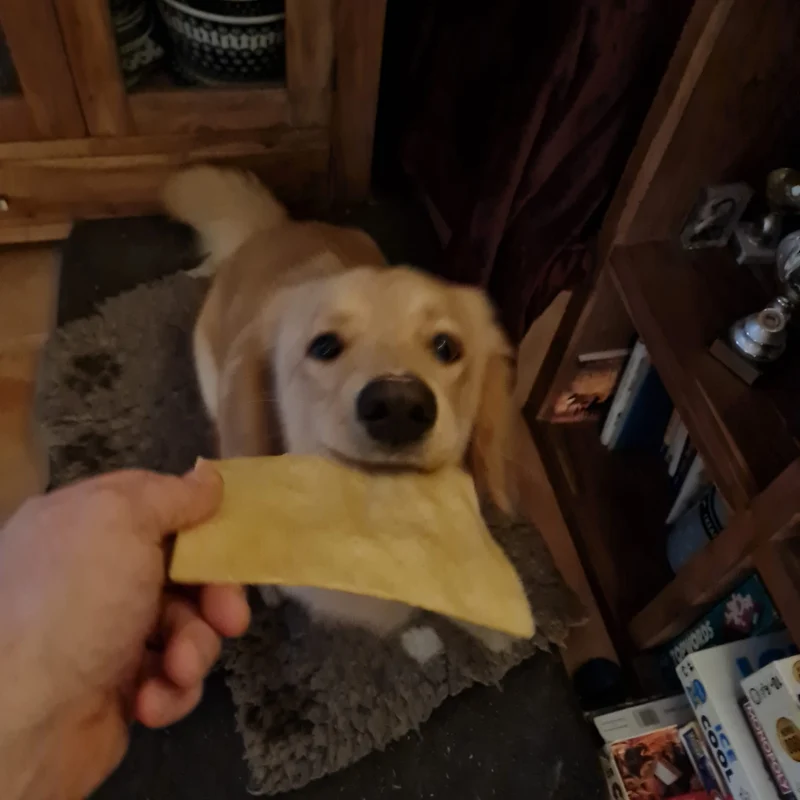 Rinder-Kauchips, groß