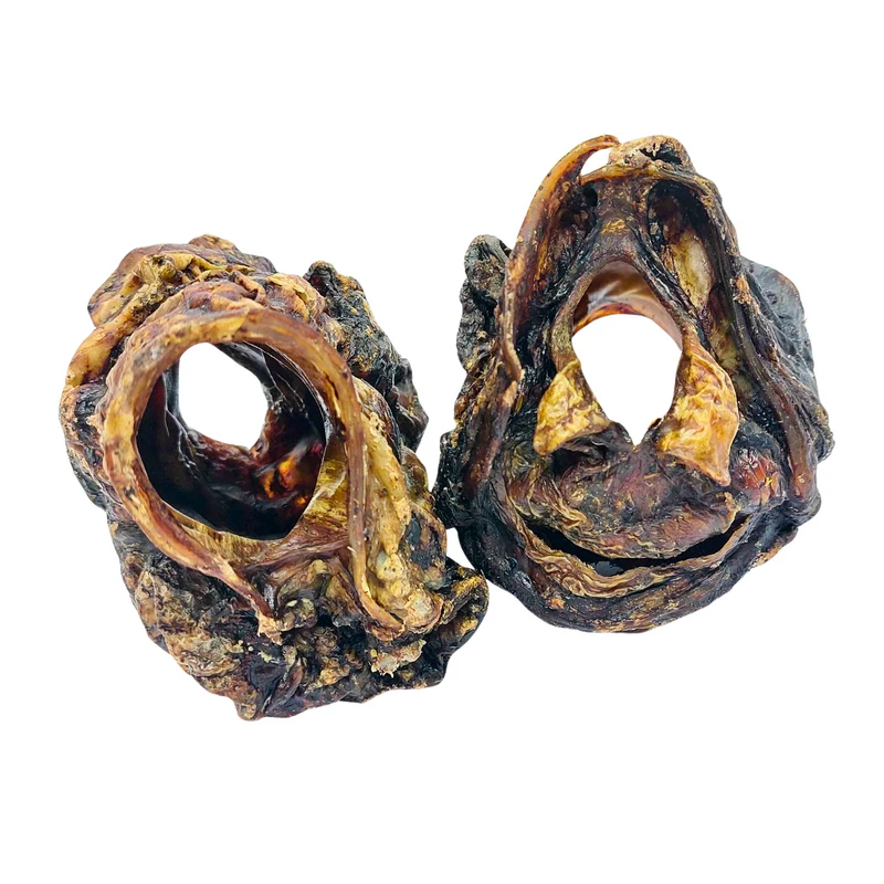 Rinder-Kehlköpfe