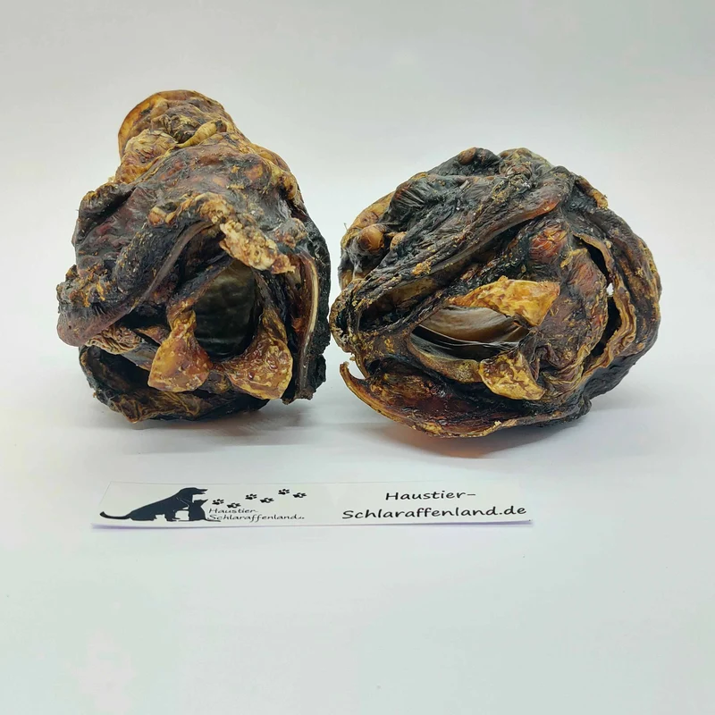 Rinder-Kehlköpfe