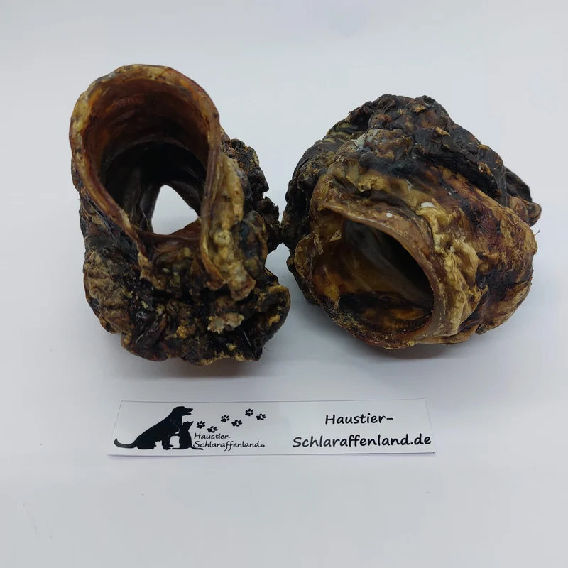 Rinder-Kehlköpfe