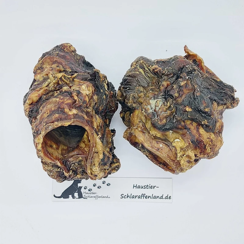 Rinder-Kehlköpfe