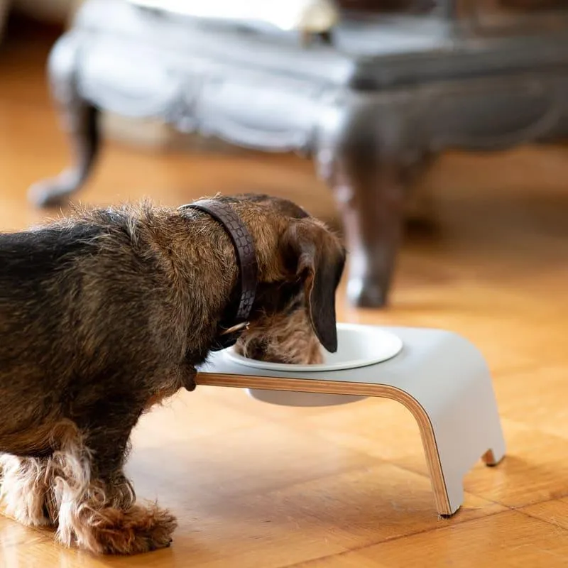 Futterstation dogBar® für Hunde | Porzellan | Grau | NEU: 6 Größen