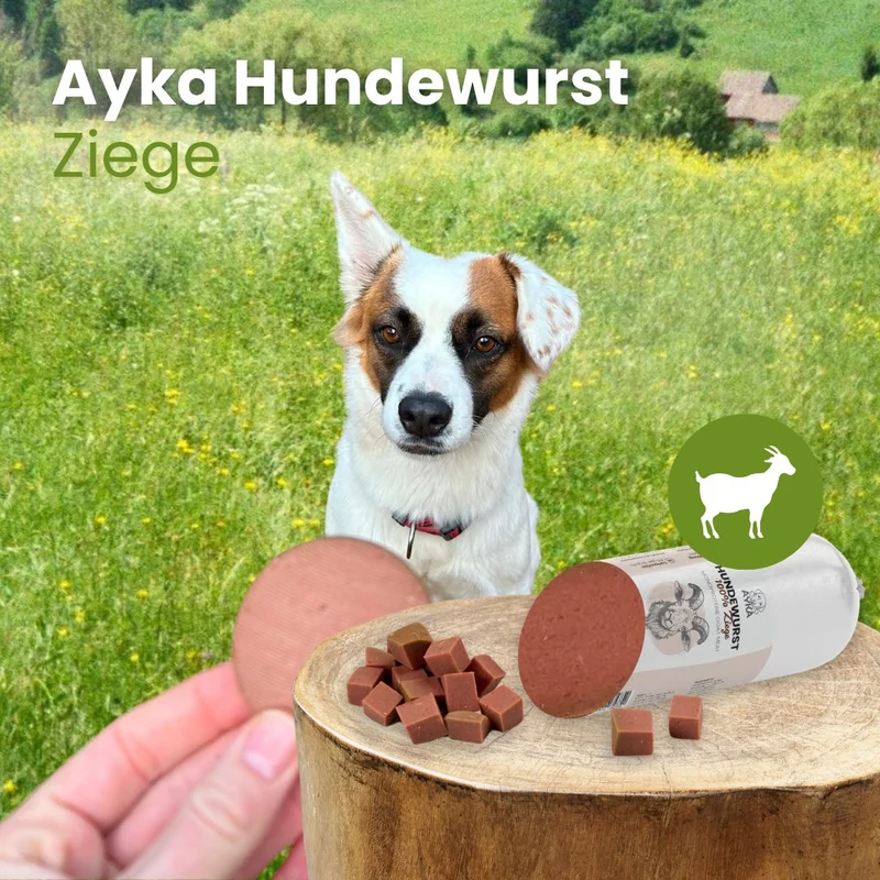 Hundewurst Ziege - Pures Fleisch