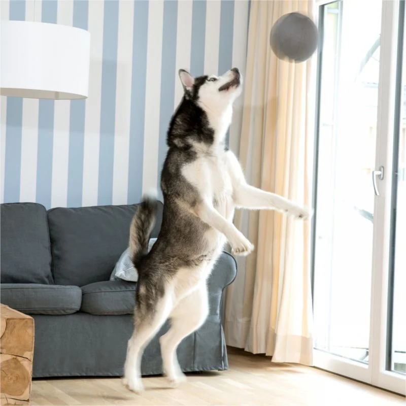 Doctor Bark Toy Ball – Robuster Hundespielball für wilde Jagdspiele, Apportieren & Kuschelstunden, hygienisch waschbar