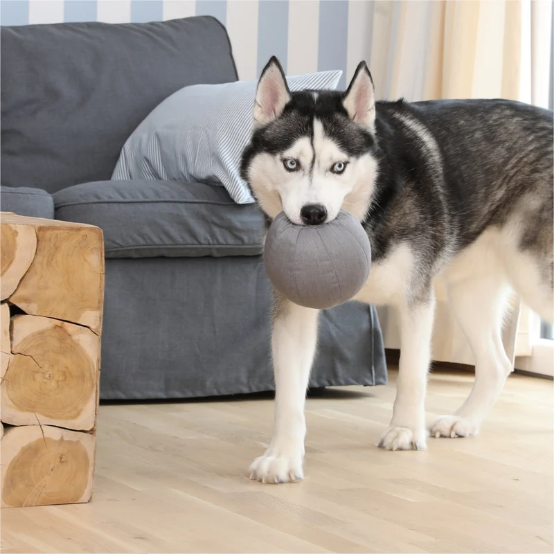 Doctor Bark Toy Ball – Robuster Hundespielball für wilde Jagdspiele, Apportieren & Kuschelstunden, hygienisch waschbar