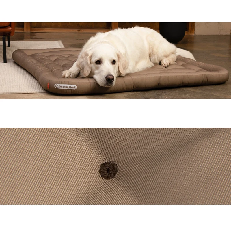 Doctor Bark Orthopädisches Lounge-Kissen – Gepolstert & waschbar für Hunde