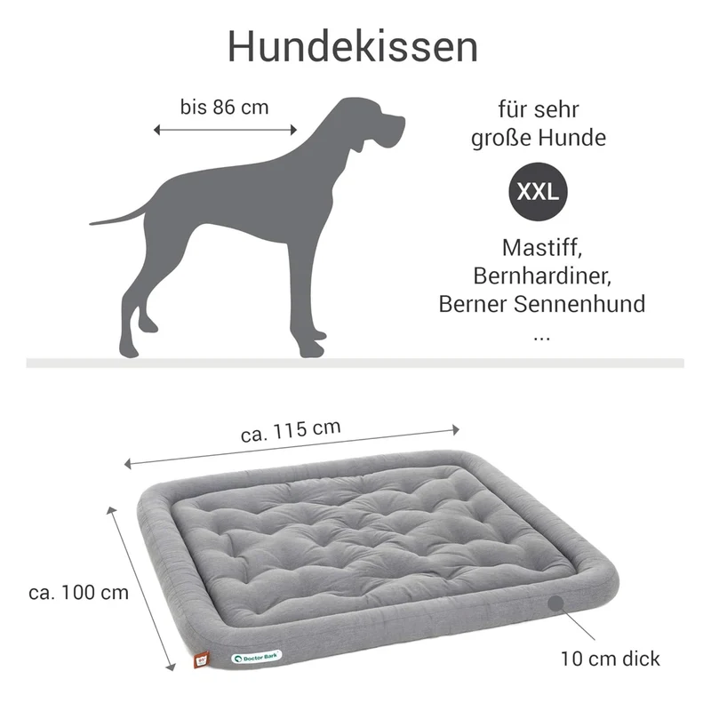Doctor Bark Orthopädisches Lounge-Kissen – Gepolstert & waschbar für Hunde