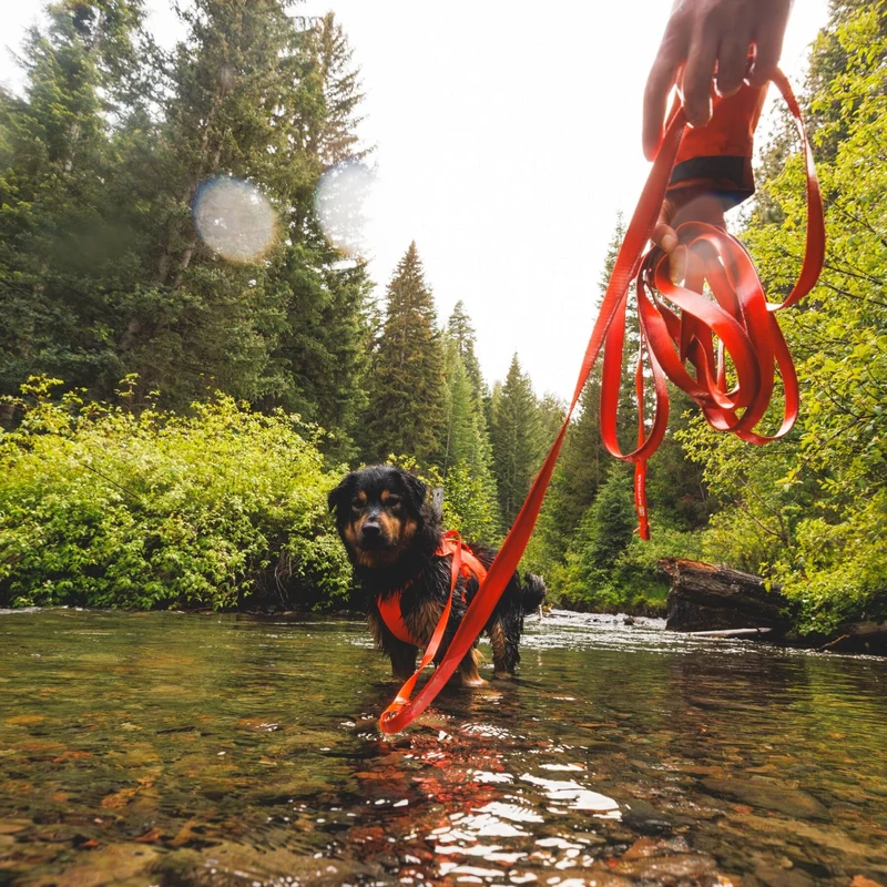 Ruffwear Rogue Long Line – Schleppleine 6,1 Meter für Rückruftraining, Freilauf & Geländeeinsatz mit verriegelbarem Karabiner
