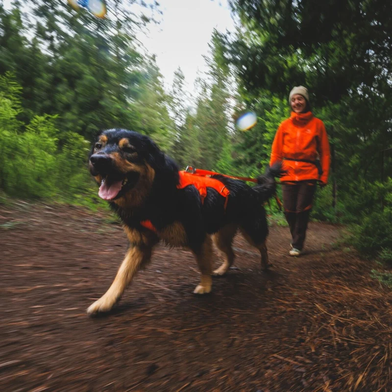 Ruffwear Rogue Long Line – Schleppleine 6,1 Meter für Rückruftraining, Freilauf & Geländeeinsatz mit verriegelbarem Karabiner