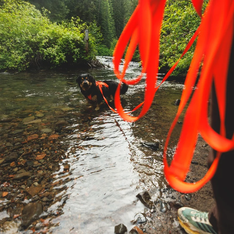 Ruffwear Rogue Long Line – Schleppleine 6,1 Meter für Rückruftraining, Freilauf & Geländeeinsatz mit verriegelbarem Karabiner