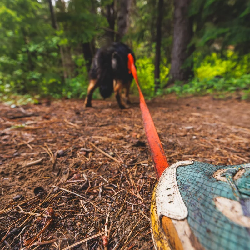 Ruffwear Rogue Long Line – Schleppleine 6,1 Meter für Rückruftraining, Freilauf & Geländeeinsatz mit verriegelbarem Karabiner