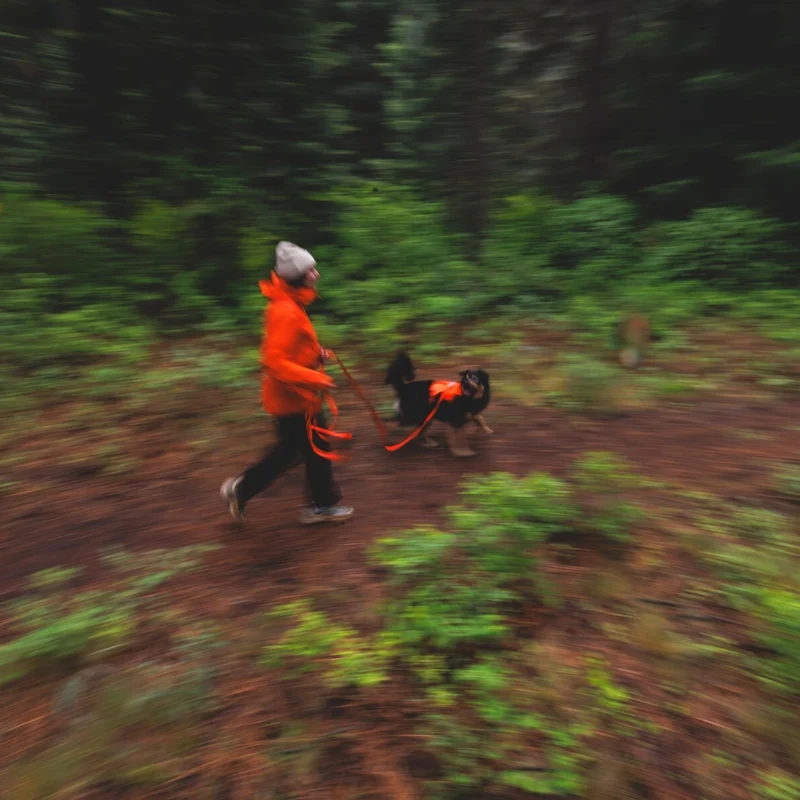 Ruffwear Rogue Long Line – Schleppleine 6,1 Meter für Rückruftraining, Freilauf & Geländeeinsatz mit verriegelbarem Karabiner