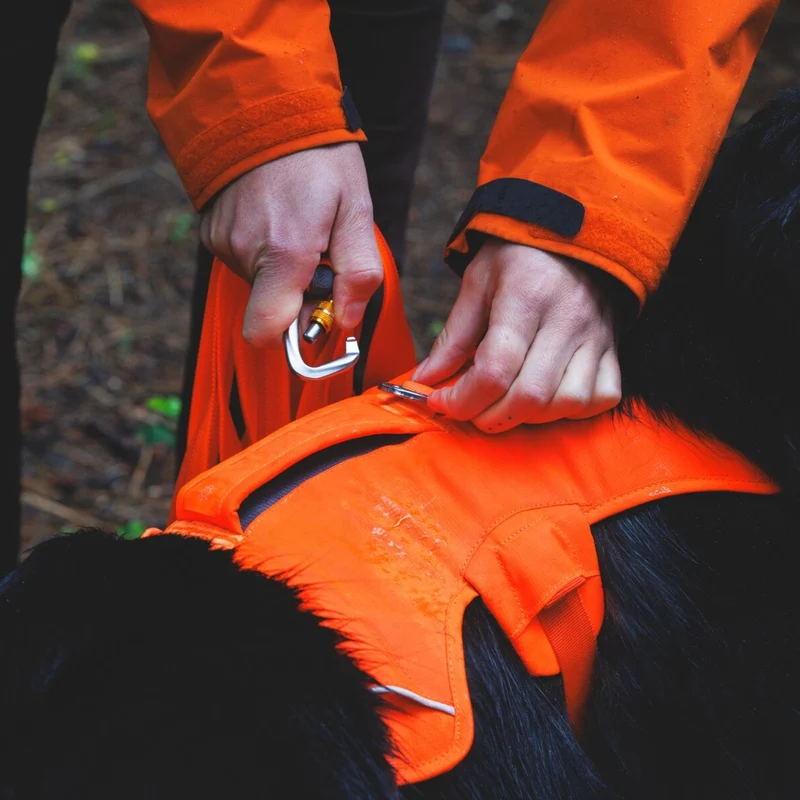 Ruffwear Rogue Long Line – Schleppleine 6,1 Meter für Rückruftraining, Freilauf & Geländeeinsatz mit verriegelbarem Karabiner