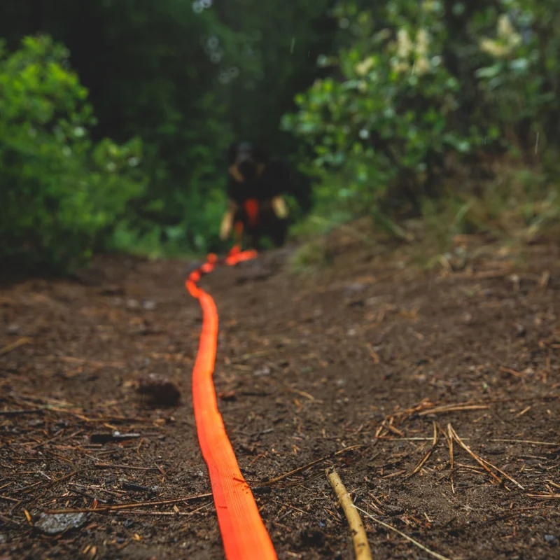 Ruffwear Rogue Long Line – Schleppleine 6,1 Meter für Rückruftraining, Freilauf & Geländeeinsatz mit verriegelbarem Karabiner