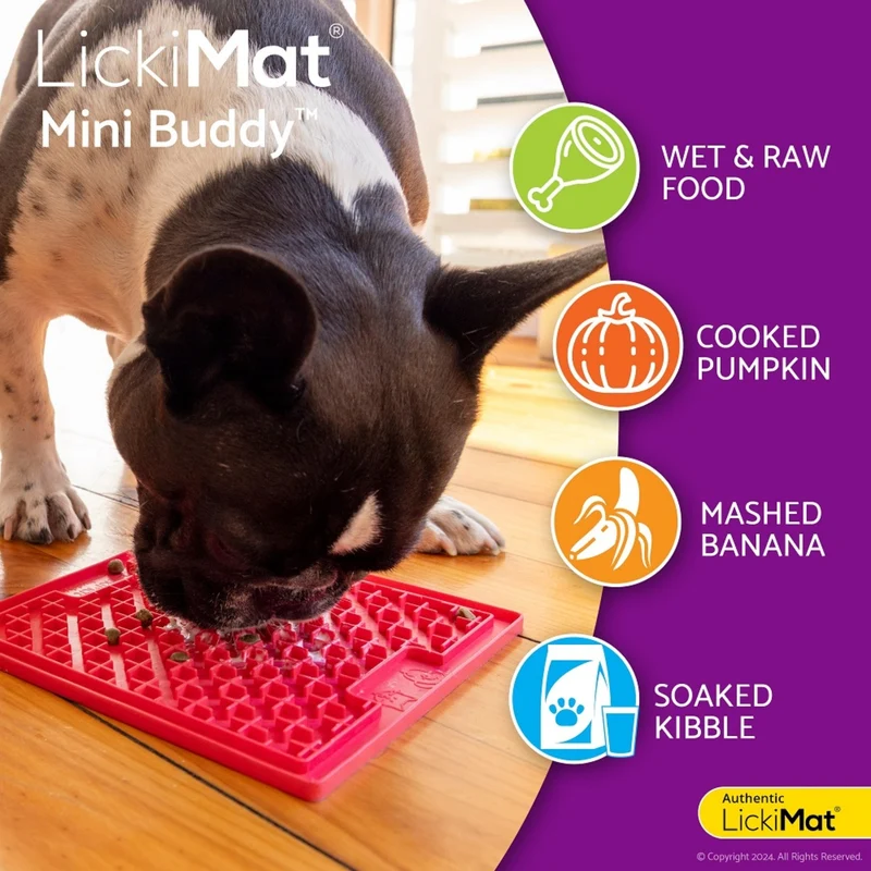 LickiMat Mini Buddy – Die kompakte Schleckmatte gegen Langeweile & Stress bei Hunden