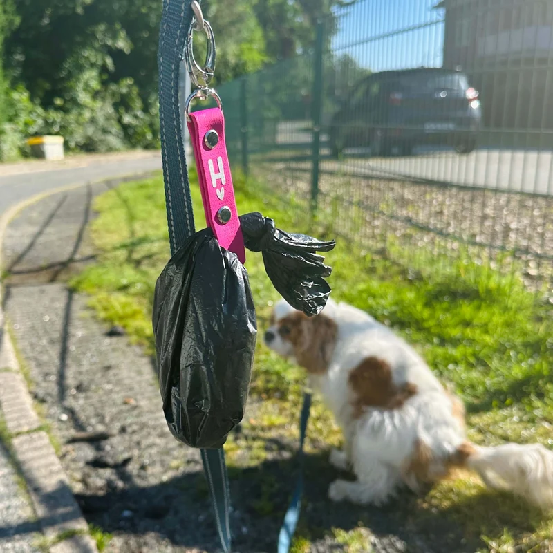 Kackabeutel-Halter für Hundeleinen