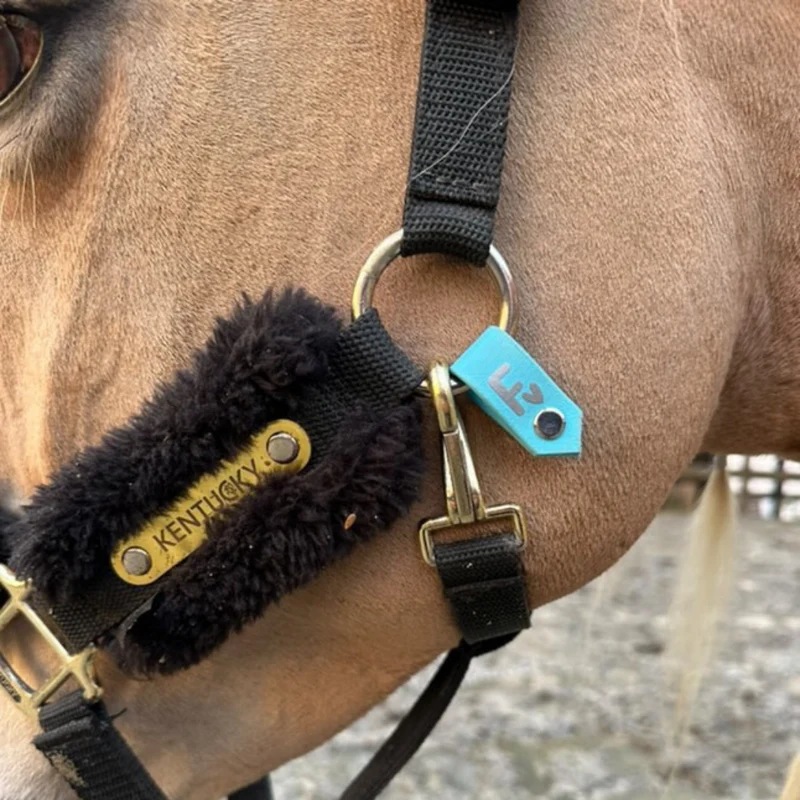 Mini-Halfter-Tag - kleiner Kennzeichner für Halfter