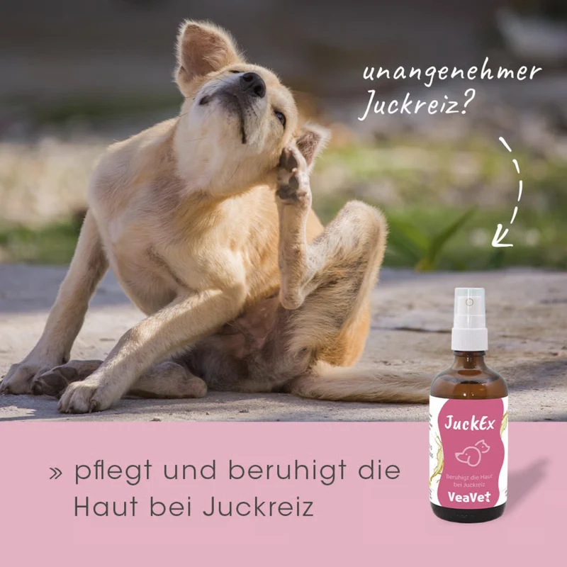 cdVet VeaVet JuckEx Spray – Natürliche Soforthilfe bei Juckreiz, Hautirritationen & Insektenstichen für Hunde, Katzen & Pferde