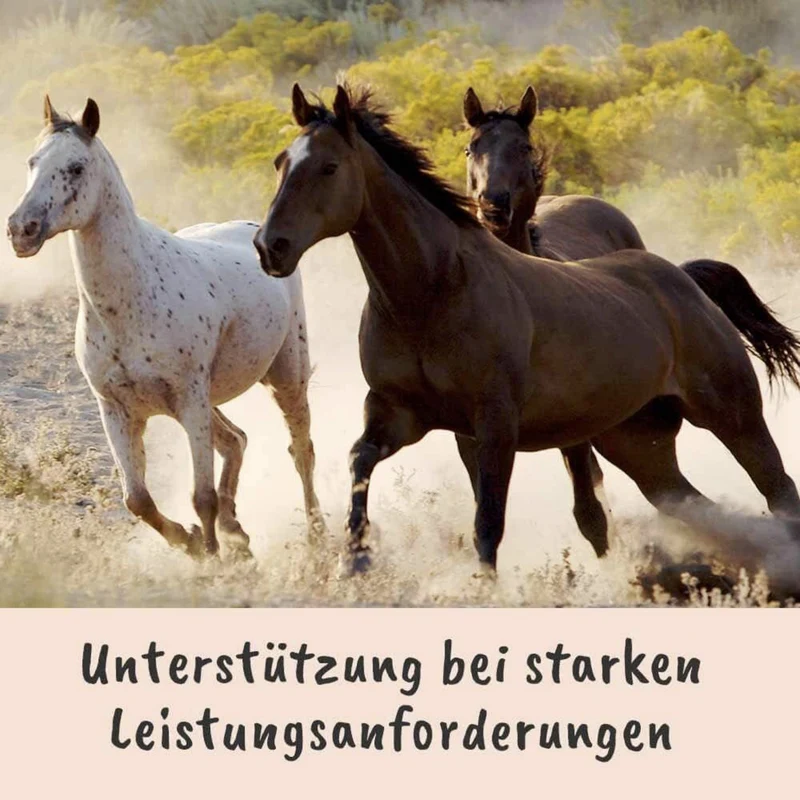 cdVet Singulares Ägyptisches Schwarzkümmelöl – Natürliche Unterstützung für Atemwege, Immunsystem & Vitalität bei Hund, Katze & Pferd
