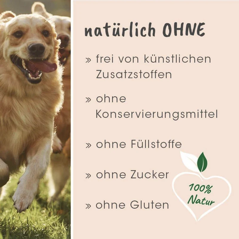 cdVet Singulares Ägyptisches Schwarzkümmelöl – Natürliche Unterstützung für Atemwege, Immunsystem & Vitalität bei Hund, Katze & Pferd