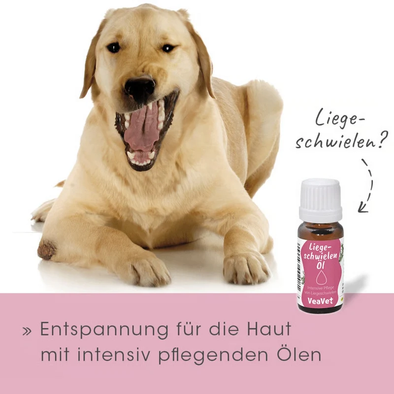 cdVet VeaVet Liegeschwielenöl – Pflege für beanspruchte Hautstellen & Liegeschwielen bei Hunden