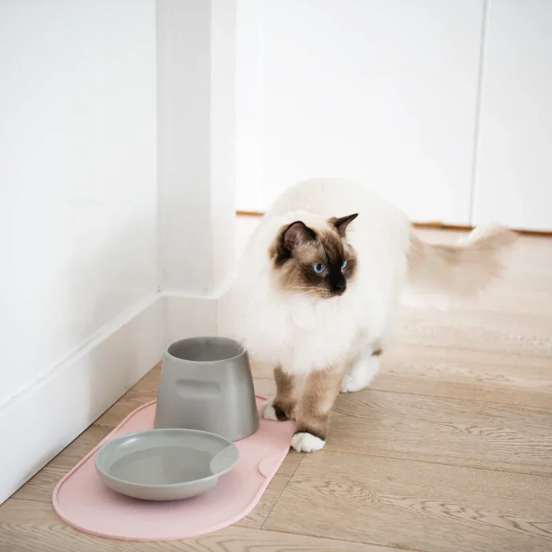 Katzennapf "Slowfeeder" von HOOPO® | 100% Porzellan | Rosa