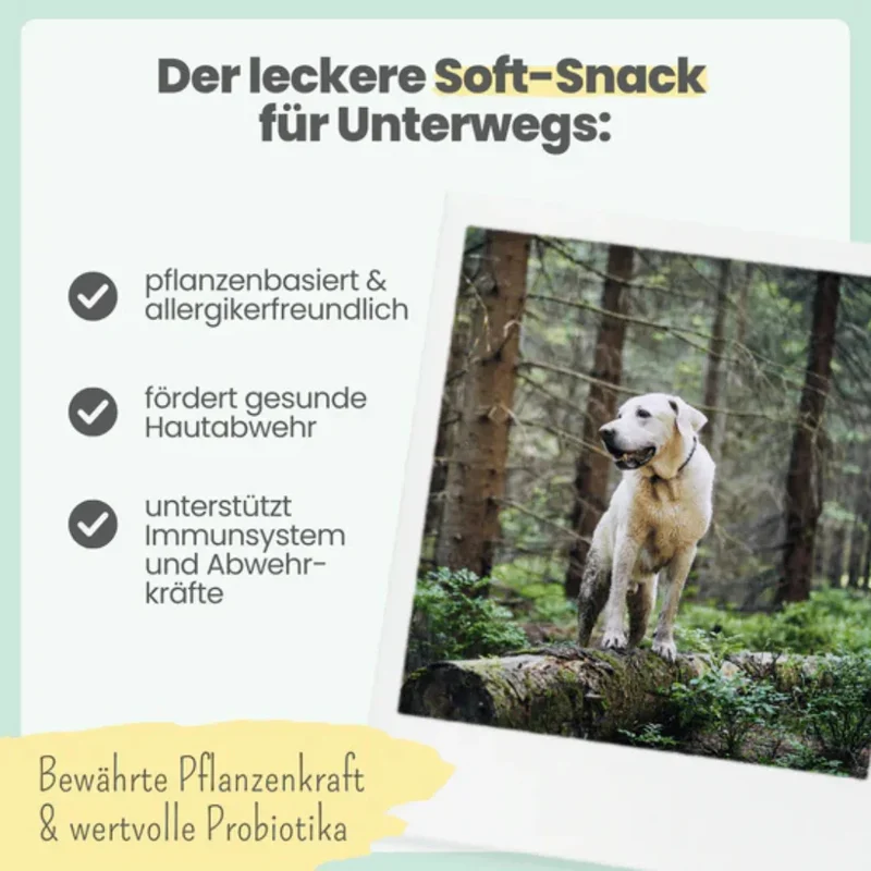Noms+ Z-Komplex für Hunde | Leckerer Soft-Snack für Wald & Wiese | Für die Outdoor Saison | Vegan & tierleidfrei | 200g