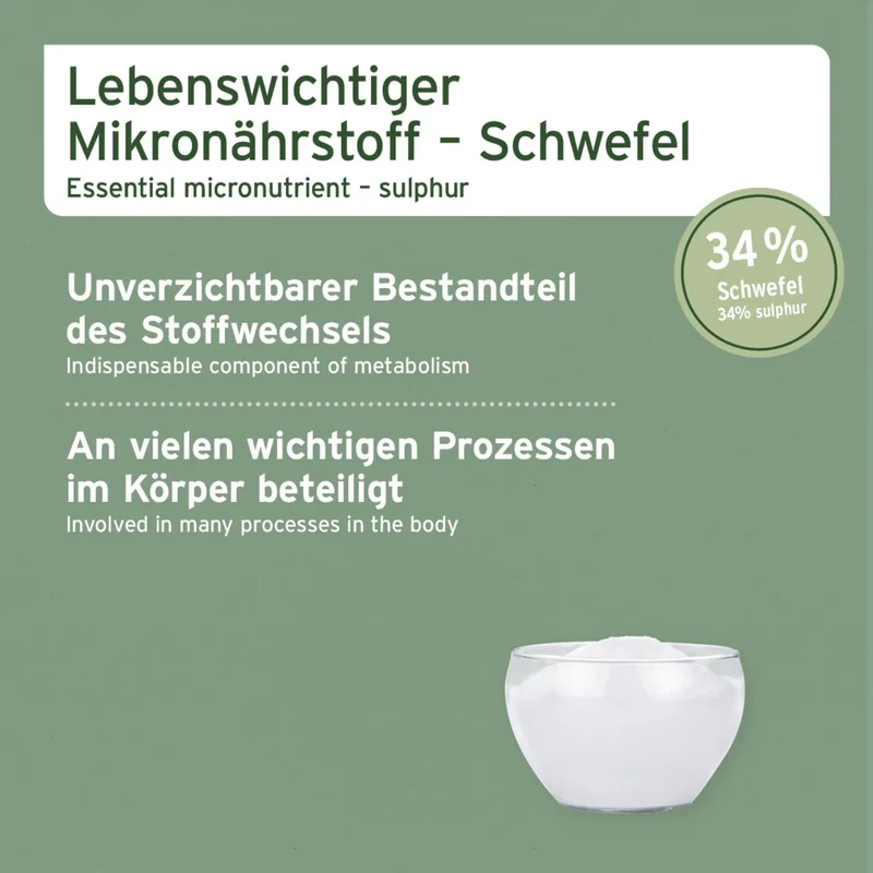 AniForte MSM Pulver für Hunde – Hochreines Methylsulfonylmethan für gesunde Gelenke & Beweglichkeit