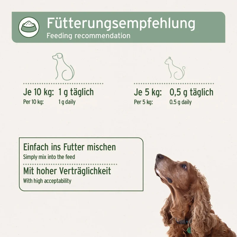 AniForte MSM Pulver für Hunde – Hochreines Methylsulfonylmethan für gesunde Gelenke & Beweglichkeit