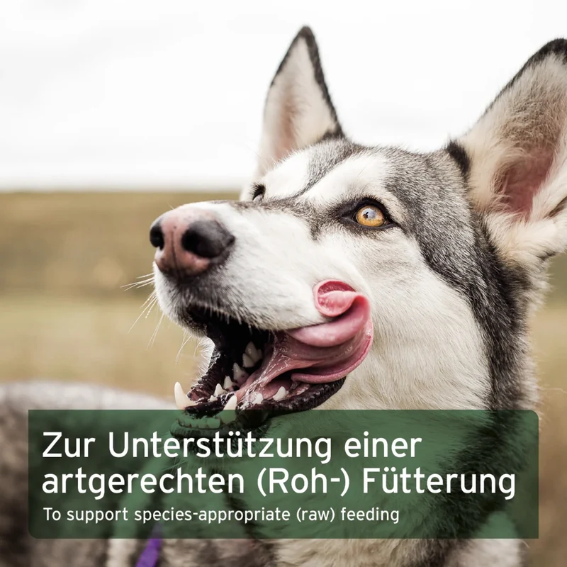 AniForte BARF LINE Rinderblut Pulver für Hunde – Premium Nahrungsergänzung mit essenziellen Aminosäuren & Mineralien