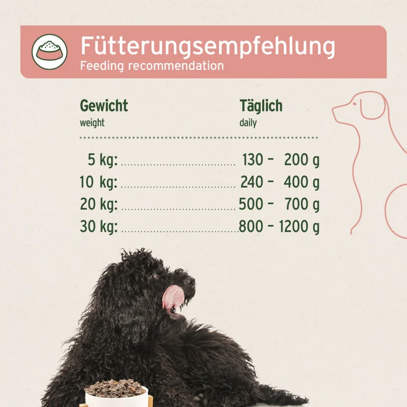 AniForte Pure Nature Senior Menu Beef – Getreidefreies Premium-Nassfutter für ältere Hunde mit Rind