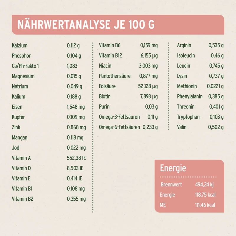 AniForte Pure Nature Senior Menu Beef – Getreidefreies Premium-Nassfutter für ältere Hunde mit Rind