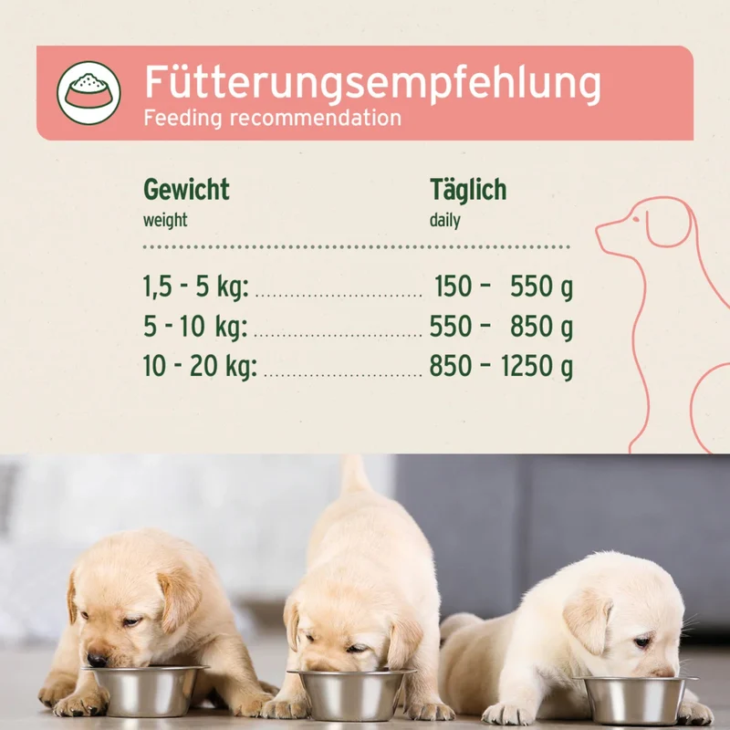AniForte Pure Nature Junior Menu Beef – Premium Welpen-Nassfutter für gesundes Wachstum, 100% natürlich & getreidefrei