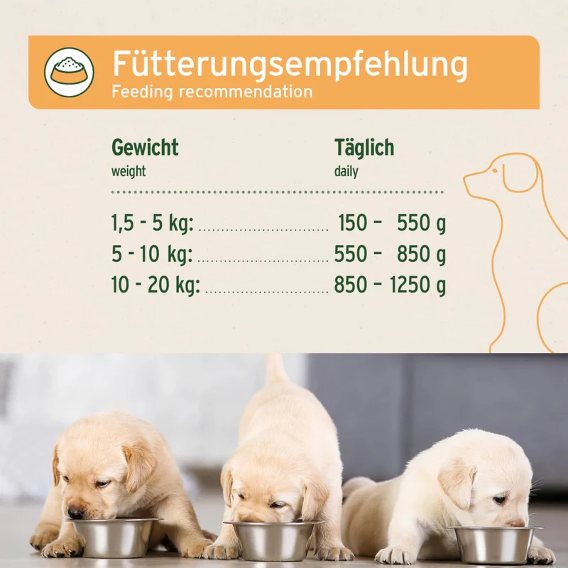 AniForte Pure Nature Junior Menu Chicken – Premium Welpen-Nassfutter ohne Getreide, 100% natürlich für gesundes Wachstum & starke Knochen