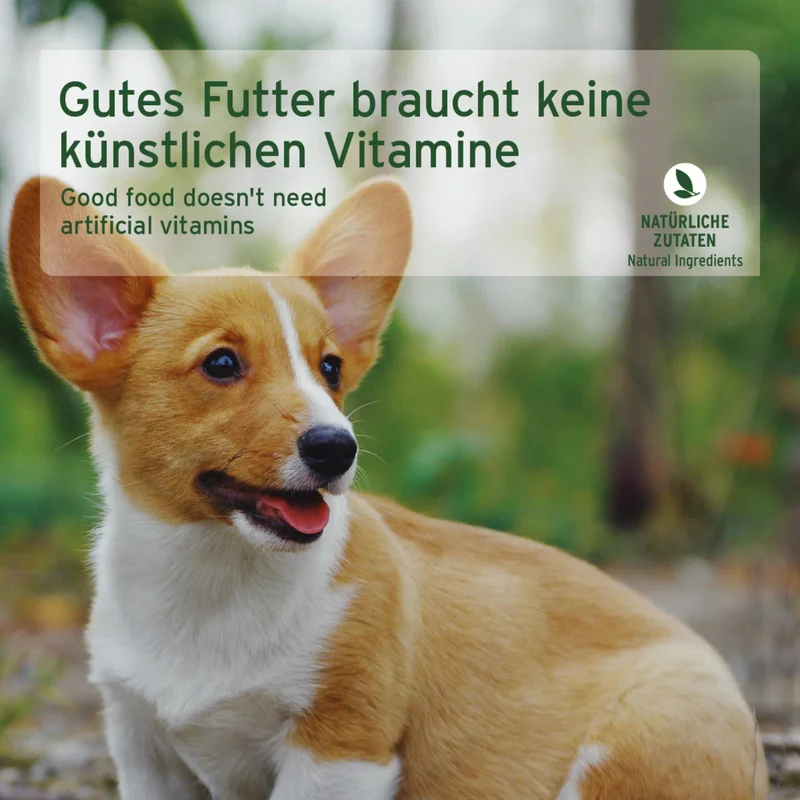AniForte Pure Nature Junior Menu Chicken – Premium Welpen-Nassfutter ohne Getreide, 100% natürlich für gesundes Wachstum & starke Knochen