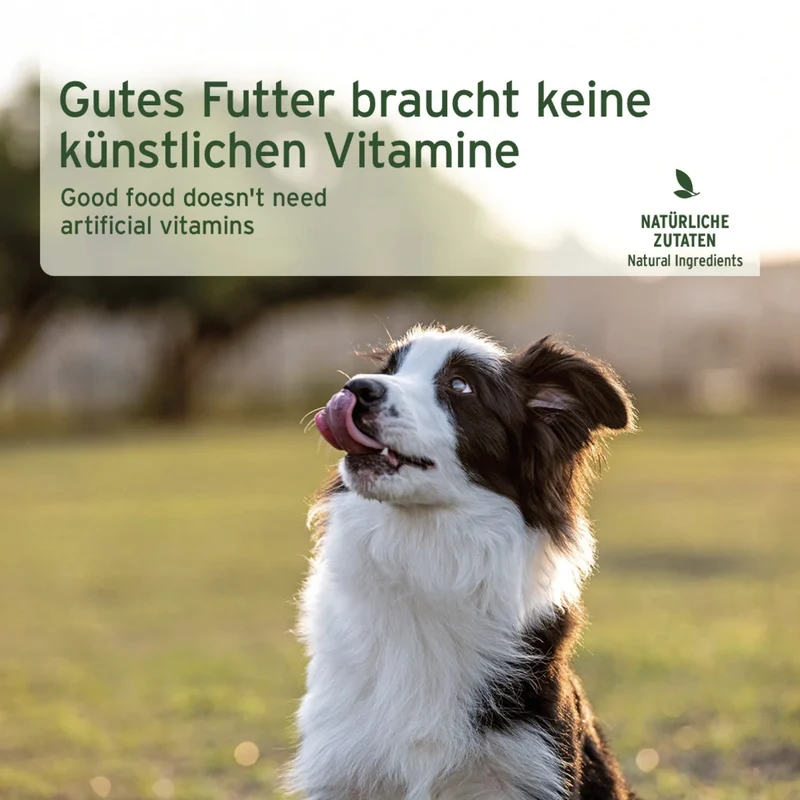 AniForte Pure Nature Ranch Horse Hunde Nassfutter – 100% Pferdefleisch, Monoprotein für sensible Hunde, getreidefrei & naturbelassen