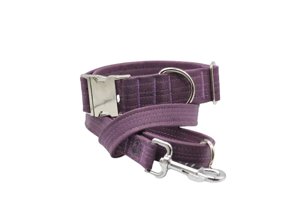 Hundehalsband mit Klickverschluss | Korkleder | Robust & Vegan | Flieder/Silber
