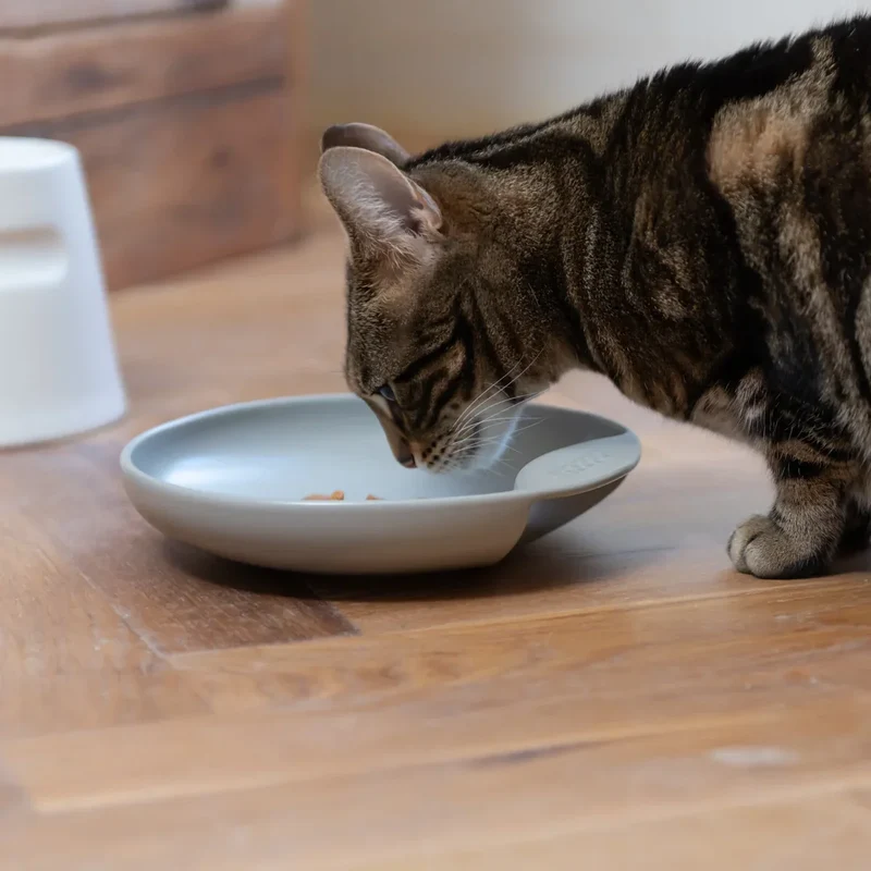 Katzennapf "Plate" von HOOPO® | 100% Porzellan | 300 ml | Grau