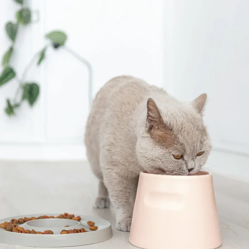 Ergonomischer Katzennapf "Tower" von HOOPO® | 100% Porzellan | 300 ml | Rosa