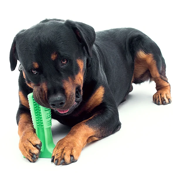 Toothbrushes For Dogs | Silicone Pet Toothbrush