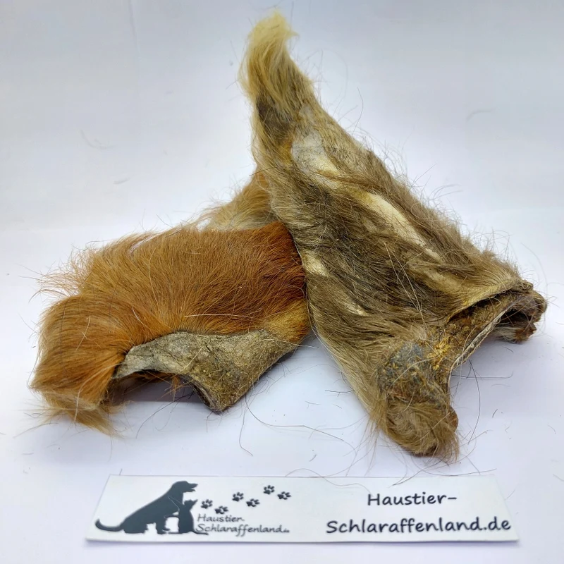 Rinder-Ohr mit Fell