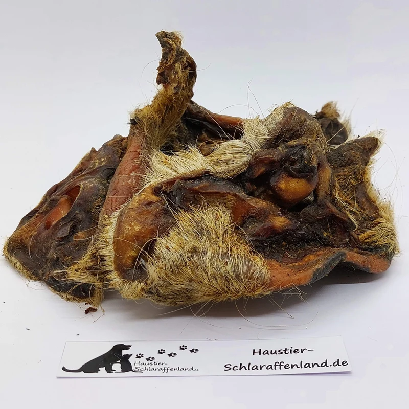 Rinder-Nasen mit Haut und Fell