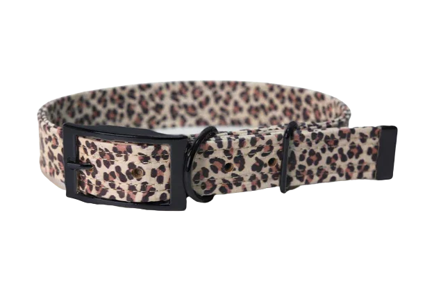 Hundehalsband mit Dornschnalle | Korkleder | Robust & Vegan | Leo weiß/schwarz